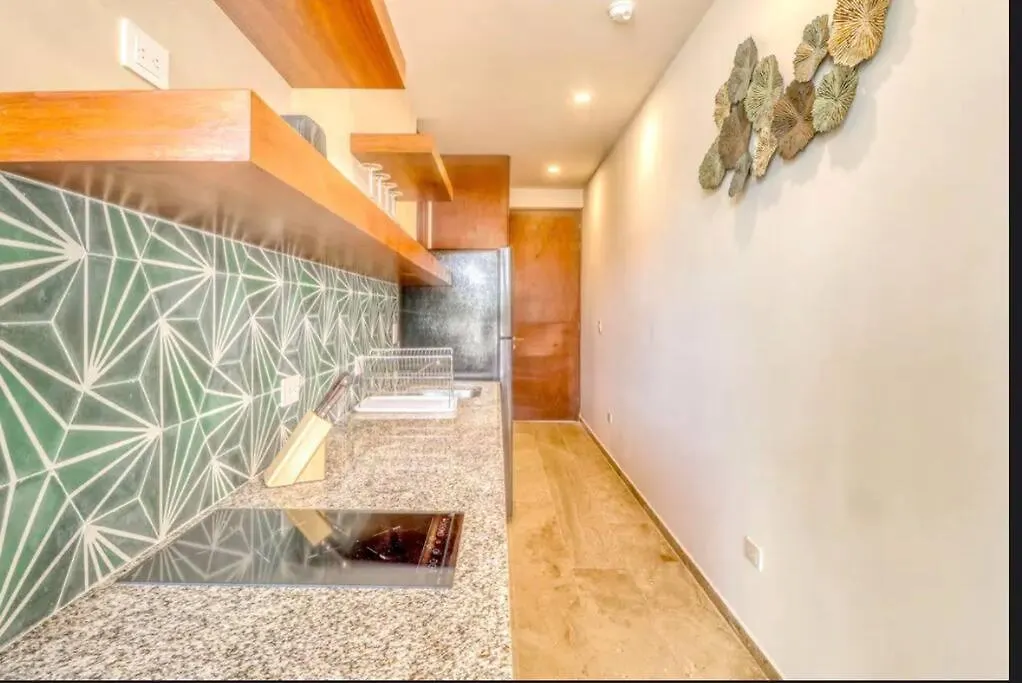 306 Amena 1Br Penthouse W/ Gym & Private Pool/Rooftop Διαμέρισμα Τουλούμ